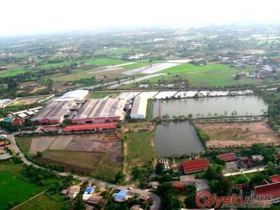 優質中泰羥丙基(醚化交聯)木薯變性淀粉 -中泰淀粉提供優質中泰羥丙基(醚化交聯)木薯變性淀粉 的相關介紹、產品、服務、圖片、價格中泰淀粉、木薯變性淀粉、