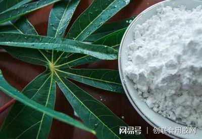 食用木薯變性淀粉的發展與應用